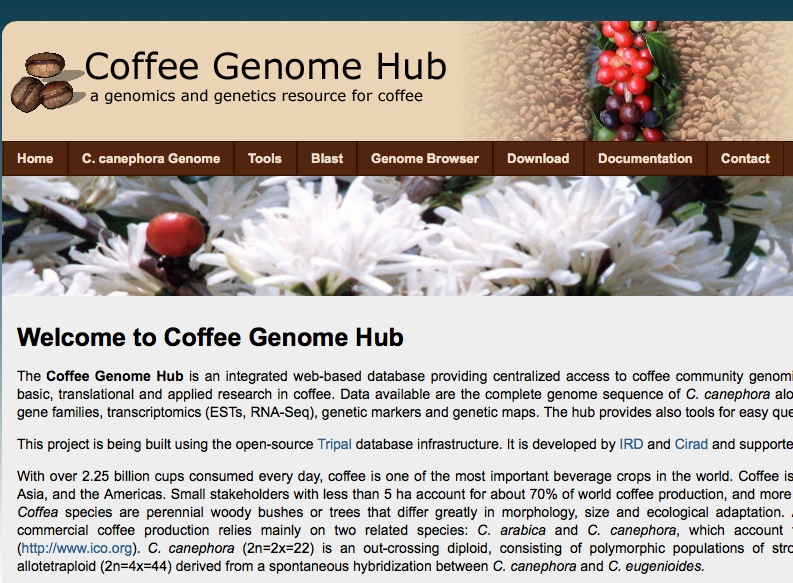 Coffee genome database